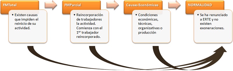 Evolucion_ERTEs