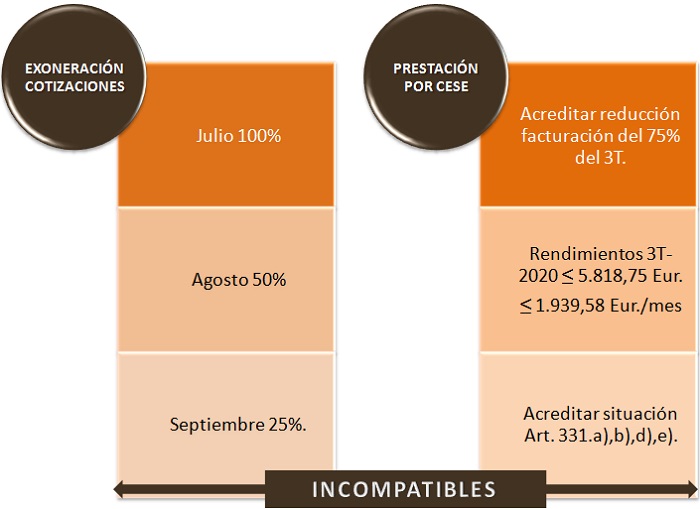 Opciones_Autonomos